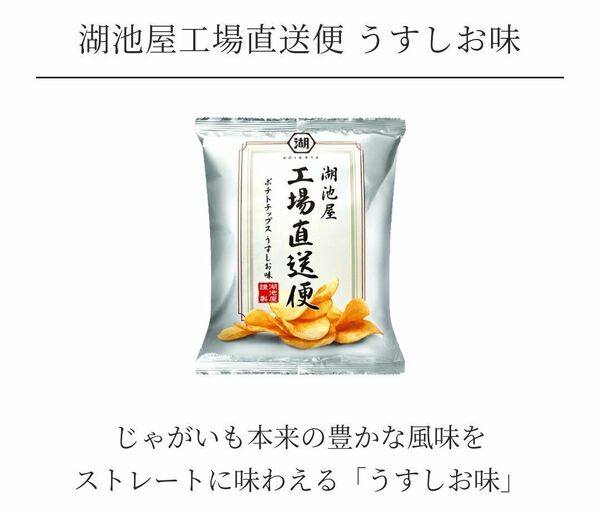 湖池屋 工場直送便 ポテトチップス うすしお味 1袋 80g