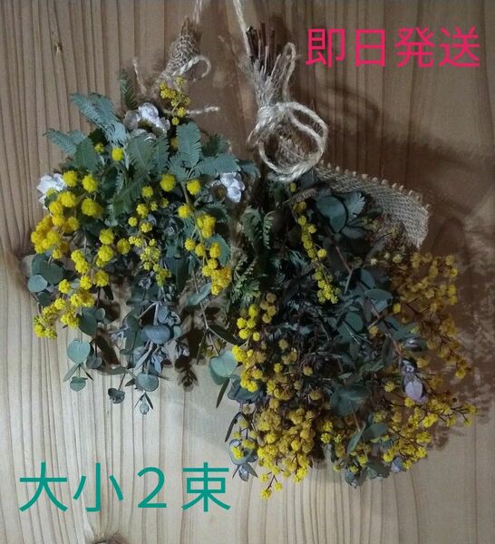 ミモザ スワッグ ミモザ・ユーカリ ドライフラワー 壁飾り 花材セット (アイビーとスペアミント無料サービス)