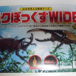 日本製 ラクぼっくす ワイド3.5L カブトムシ幼虫に 16ケース 160サイズ ☆奈良県ＰＯＷＥＲ☆1の画像3