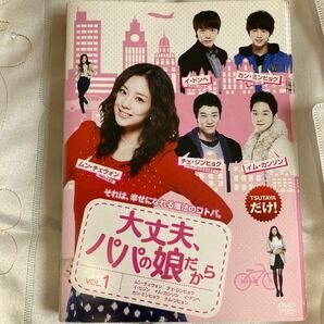 韓国ドラマ　DVD 大丈夫パパの娘だから　全巻セット