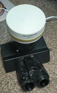 OLYMPUS オリンパス 顕微鏡 部品 パーツ U-TR30 DP70 三眼鏡筒 trinocular tube ヘッドCCD microscope 