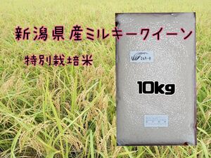 特別栽培米新潟県産ミルキークイーン10k