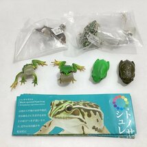 ガチャ ネイチャーテクニカラー トノサマガエルとシュレーゲルアオガエルとアマガエル ボールチェーン＆マグネット 全6種 セット いきもん_画像1