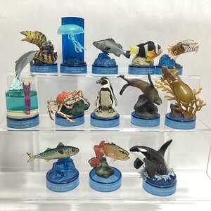 海洋堂　新江ノ島水族館への誘い2　全13種 セット　2004年 セブンイレブン キャンペーン　オオグソクムシ　タカアシガニ　クマノミ　等