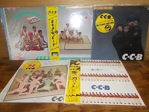 B4033　【未確認】　C-C-B　LP5枚セット