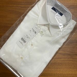 新品★鎌倉シャツ★レディース36★長袖コットン100%