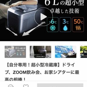 限定値下 車でも使えるポータブル 冷温庫 冷凍も可能