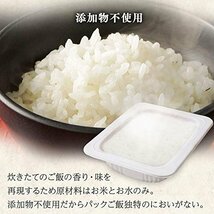 【タイムセール】 120ｇ×10個 レトルト 非常食 低温製法米のおいしいごはん アイリスオーヤマ 100％ パック ごはん 国_画像5