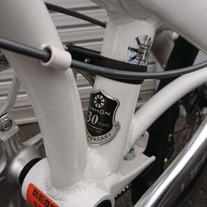 ★改造多数★DAHON ダホンMu P8 20インチ 折りたたみ自転車★の画像9