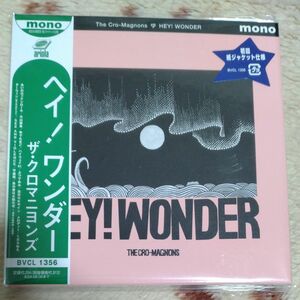 初回仕様限定盤 紙ジャケット クロマニヨンズ CD/HEY! WONDER 未開封