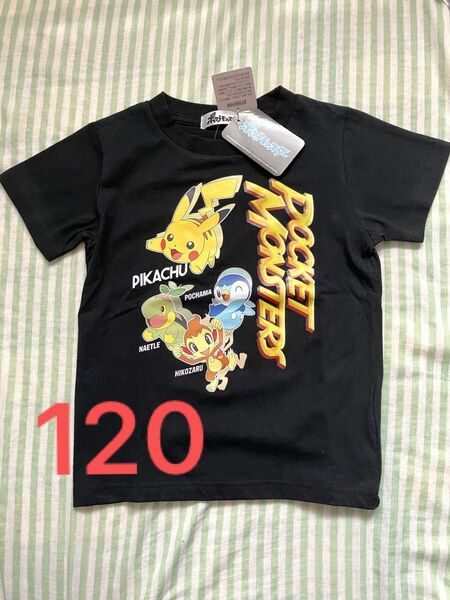 ポケモン　半袖Tシャツ タグ付き