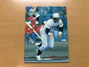 そこそこ美品 カルビープロ野球カード 1987年 掛布雅之 (阪神タイガース) No.51