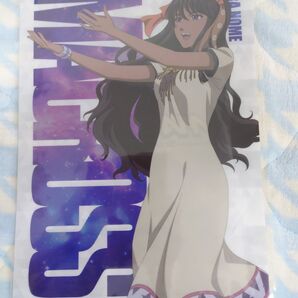 マクロス Shooting Insight 特典『マクロスゼロ サラ・ノーム A4クリアファイル』 新品未開封 ブシロード