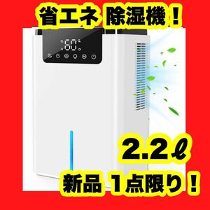 除湿機 大容量 2.2L 省エネ 小型 除湿器 15畳 強力除湿 LED 自動 ホワイト 白 大容量除湿機 梅雨 夏 衣類乾燥