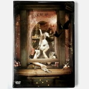 ★未開封★SHAKALABBITS / 神ノ街シアター (DVD)