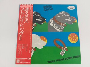 10111　LPレコード 見本盤 帯付き ストレイ・ドッグII 迷える犬 Stray Dog While You're Down There USED品