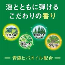 【匿名発送】 温泡 こだわり森 炭酸湯 入浴剤 4種 × 10錠 合計 40錠_画像3