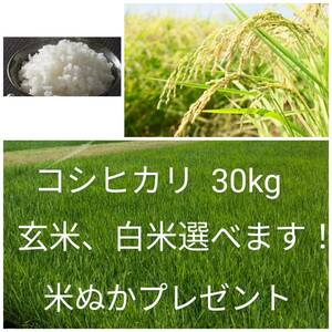 【ご落札後すぐ精米】 新鮮 茨城県産 コシヒカリ 90kg 90キロ 茨城米 米 玄米 白米 標準 米ぬかプレゼント