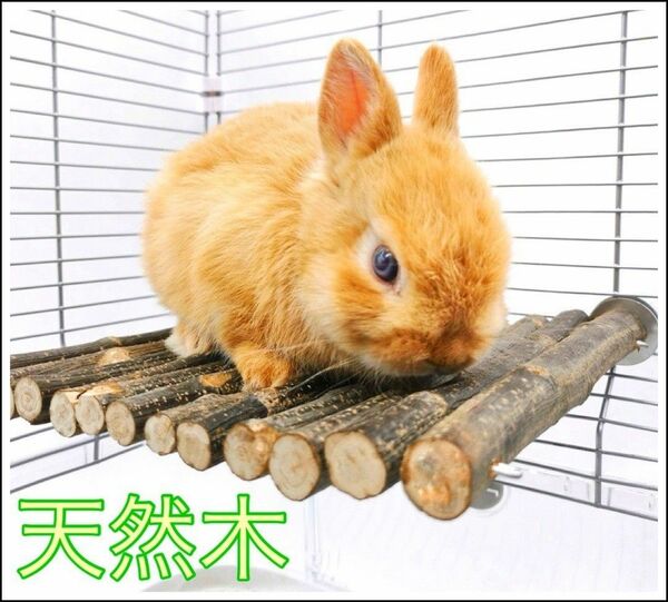 小動物 ラット うさぎ デグー ステップ 足場 丸太 天然木 木 遊び場