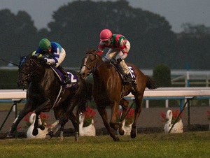 ◎◎【競馬歴３０年】誰もが勝ててしまう不思議な馬連２～４点馬券術！（競馬初心者でも勝てます。）