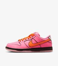 【未使用】The Powerpuff Girls×Nike/パワーパフガールズ×ナイキ SB Dunk Low Pro QS Blossom ブロッサム FD2631-600/27.5 /US9.5_画像1