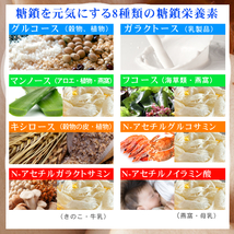 【新品トライアル！】免研糖鎖サプリ 糖鎖食品 糖鎖栄養素含有食品G(顆粒タイプ)12包入【ツバメの巣・ホスファチジルセリン(PS)配合】 _画像4