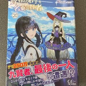 賢者の弟子を名乗る賢者　２０ （ＧＣ　ＮＯＶＥＬＳ） りゅうせんひろつぐ／著