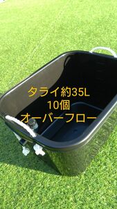 メダカ容器　35L　10個　オーバーフロー加工