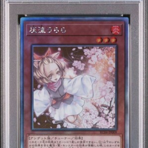 遊戯王 灰流うらら ホログラフィックレア レアコレ PSA9の画像1