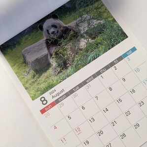 2024年カレンダー 上野動物園 王子動物園 シャオシャオ レイレイ タンタンの画像9