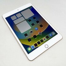 新古品 iPad mini（第5世代） Wi-Fi+Cellular 本体 SIMフリー 64GB 7.9インチ Neural Engine スタイラスペン特典_画像3