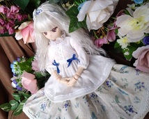 アゾン４５用の服AF286（ｈ・植物青）ＭＤＤ・ＤＤＰ・オビツ５０にも_画像3