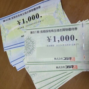 ビックカメラ、コジマ　株主優待買物券　20000円分　20枚　2024年5月31日まで