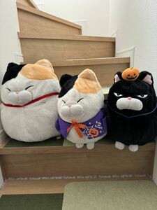 ひげまんじゅう ぬいぐるみ ねこ みーさま BIGぬいぐるみ ハロウィン