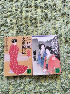 江戸城大奥列伝 天璋院篤姫と大奥の女たちの謎 講談社文庫