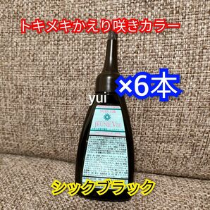 トキメキかえり咲きカラー　ブラック　40ml×6本