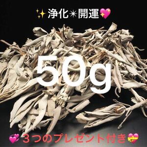 ★限定特選品★無農薬カリフォルニア産【箱配送５０g 高品質ホワイトセージ】☆