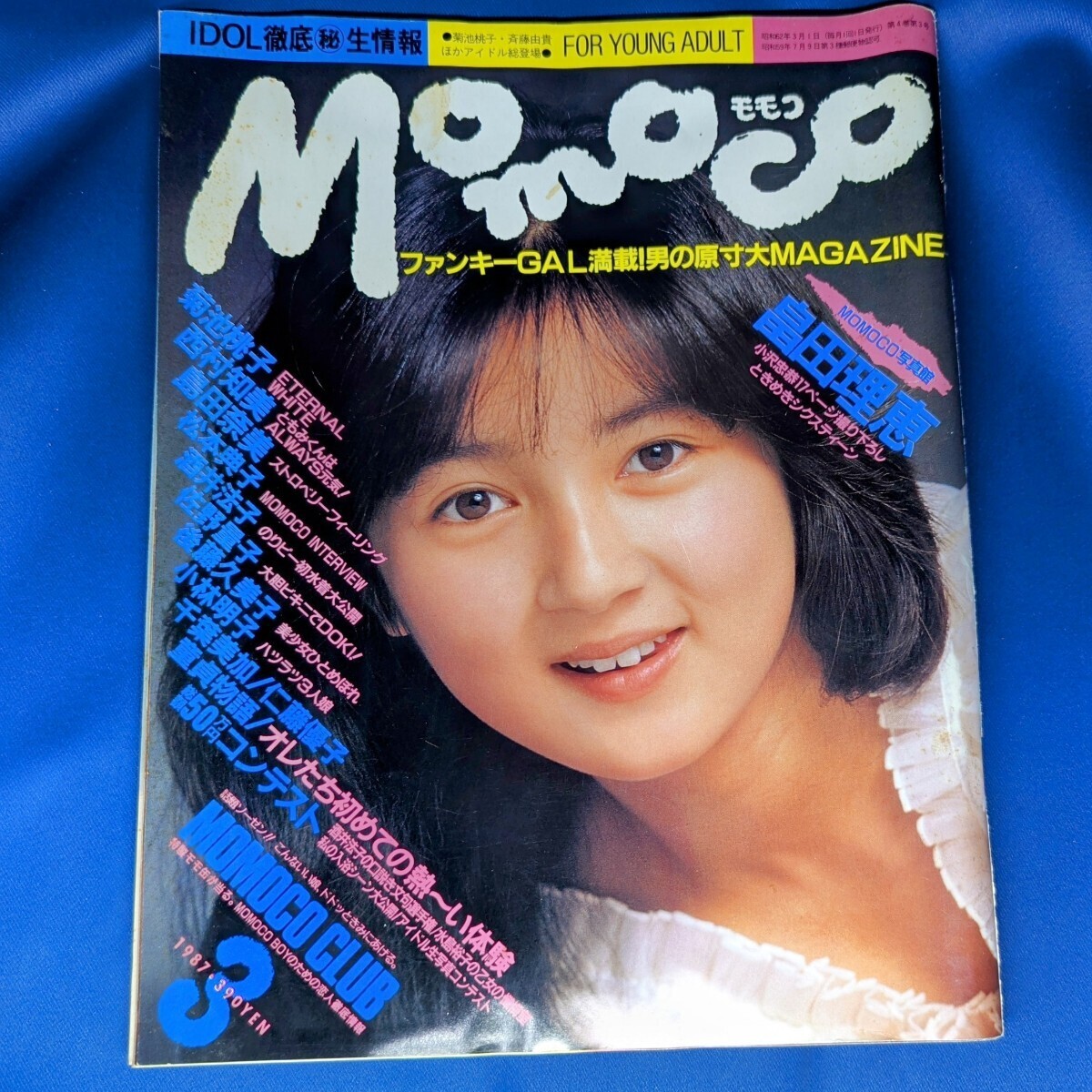 2024年最新】Yahoo!オークション -西村知美 ポスターの中古品・新品