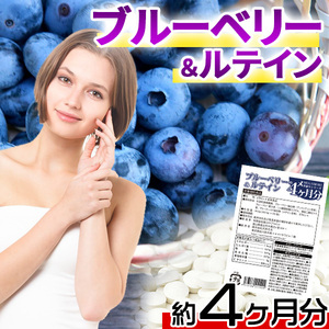 ブルーベリー＆ルテインサプリ 国内製造 日本製 サプリメント 送料無料 大量 約4ヵ月分 〔120日分×1袋〕