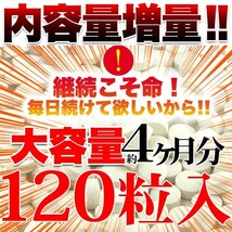 黒セサミン＋スタミナサプリ サプリ 黒ゴマ 国内製造 サプリメント 送料無料 大量 約4ヵ月分 〔120日分×1袋〕〔メール便出荷〕_画像3