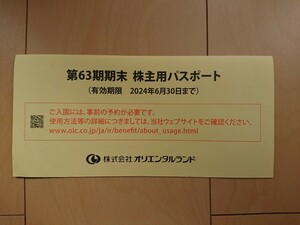 【有効期限 2024年06月30日】東京ディズニーランド、ディズニーシー 株主優待券 1枚 