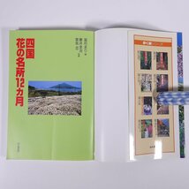 四国花の名所12ヵ月 當村まり編 藤井金治・曽我忍写真 Jガイドホリデー 山と渓谷社 1999 単行本 旅行 観光 ガイドブック_画像5