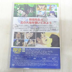 BO-605◆ゴールデンカムイ 23 アニメDVD同梱版 完全新作OAD「支遁動物記」 強者乱入シール&クリアシートセット 野田サトル 中古品の画像6