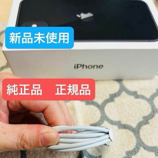 【未使用品/新品】iPhoneUSBケーブル Aタイプ(Apple純正付属品) iPhone Apple