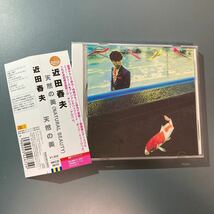 【帯付CD/美品】近田春夫 天然の美　タワーレコード限定　最新マスタリング_画像1
