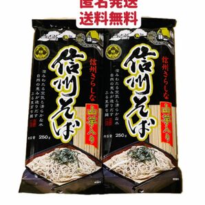 山芋いり信州そば　250g×2袋 クーポンポイント消化　お試し　匿名発送送料無料