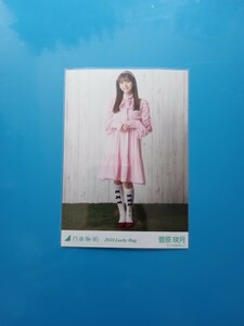 乃木坂46 Lucky　bag　2024 生写真　カレンダー衣装　菅原咲月　ヒキ