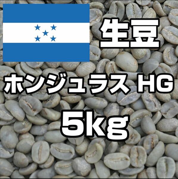 【コーヒー生豆】ホンジュラスHG 5kg ※送料無料！