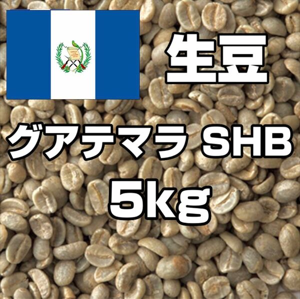 【コーヒー生豆】グアテマラ SHB 5kg　 ※送料無料！！
