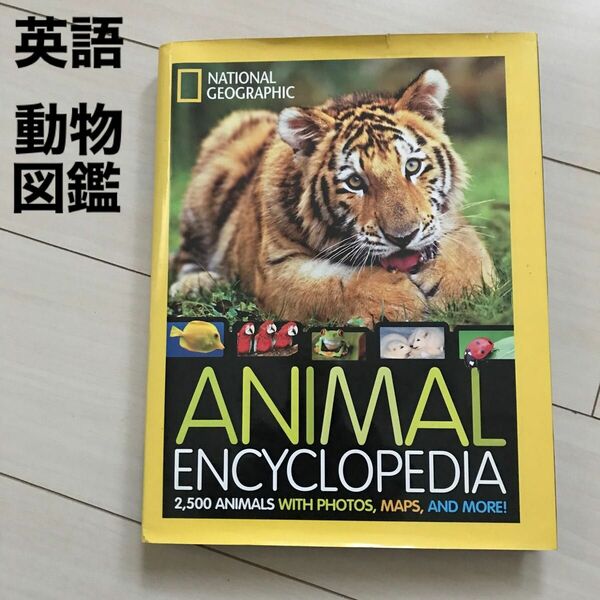 ナショジオ　ナショナルジオグラフィック　アニマル　動物　図鑑　animal encyclopedia 写真　英語　英語のみ　こども